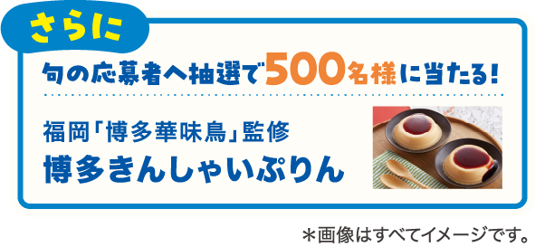 さらに句の応募者へ抽選で500名様に当たる！博多きんしゃいぷりん