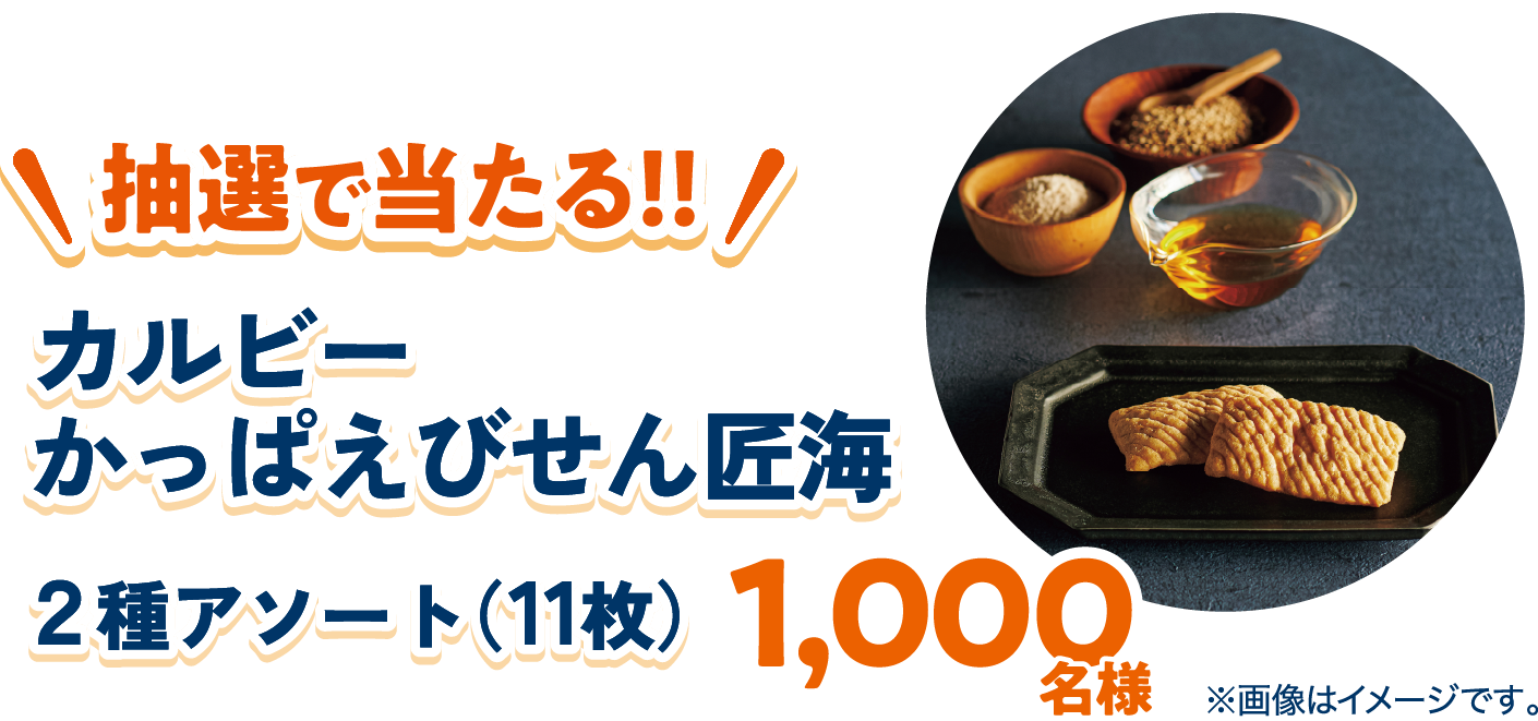 抽選で当たる！！ カルビー かっぱえびせん匠海 ２種アソート（11枚） 1,000名様